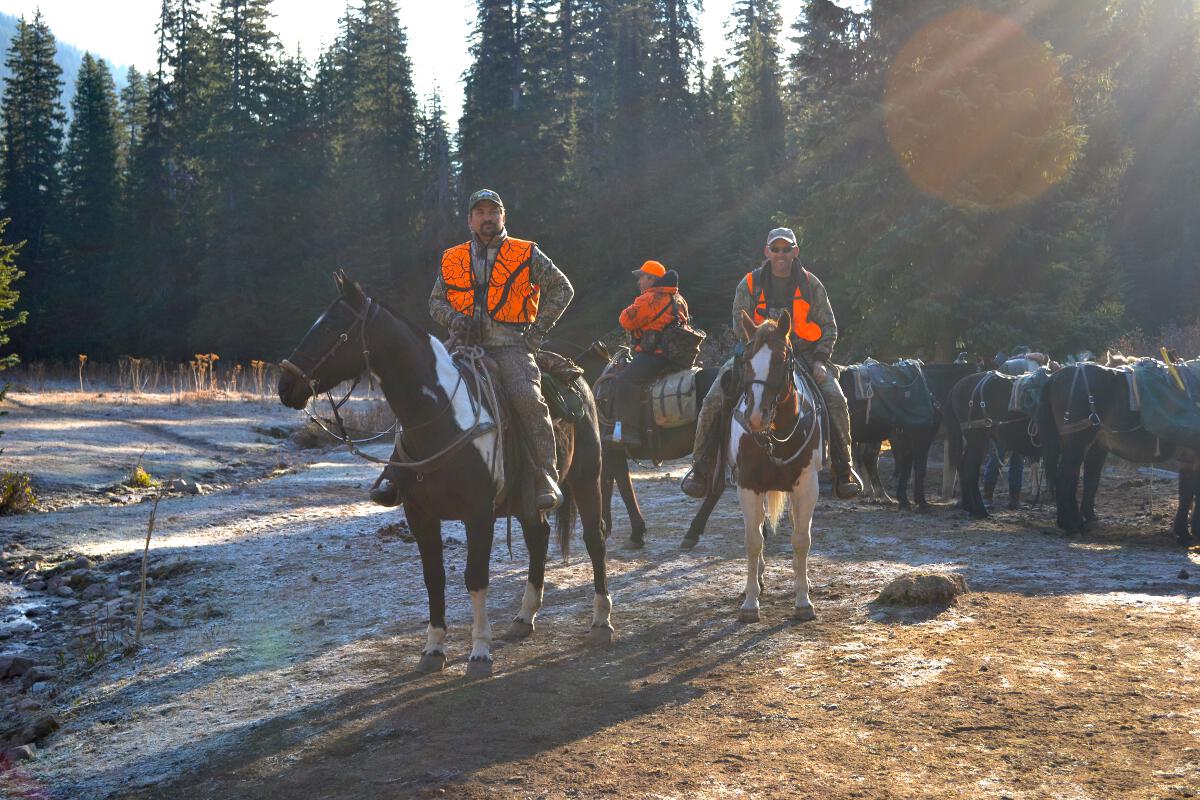 Early Morning Horseback Hunt
